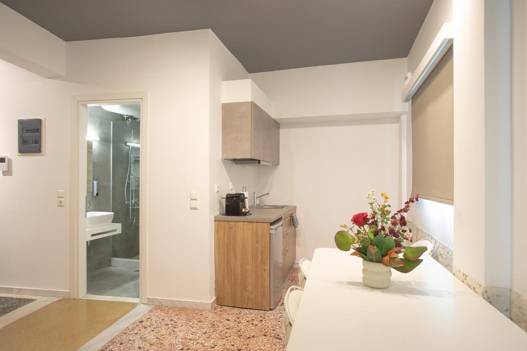 Aonia Luxurious Modern Boutique Apartments Chalkís Zewnętrze zdjęcie