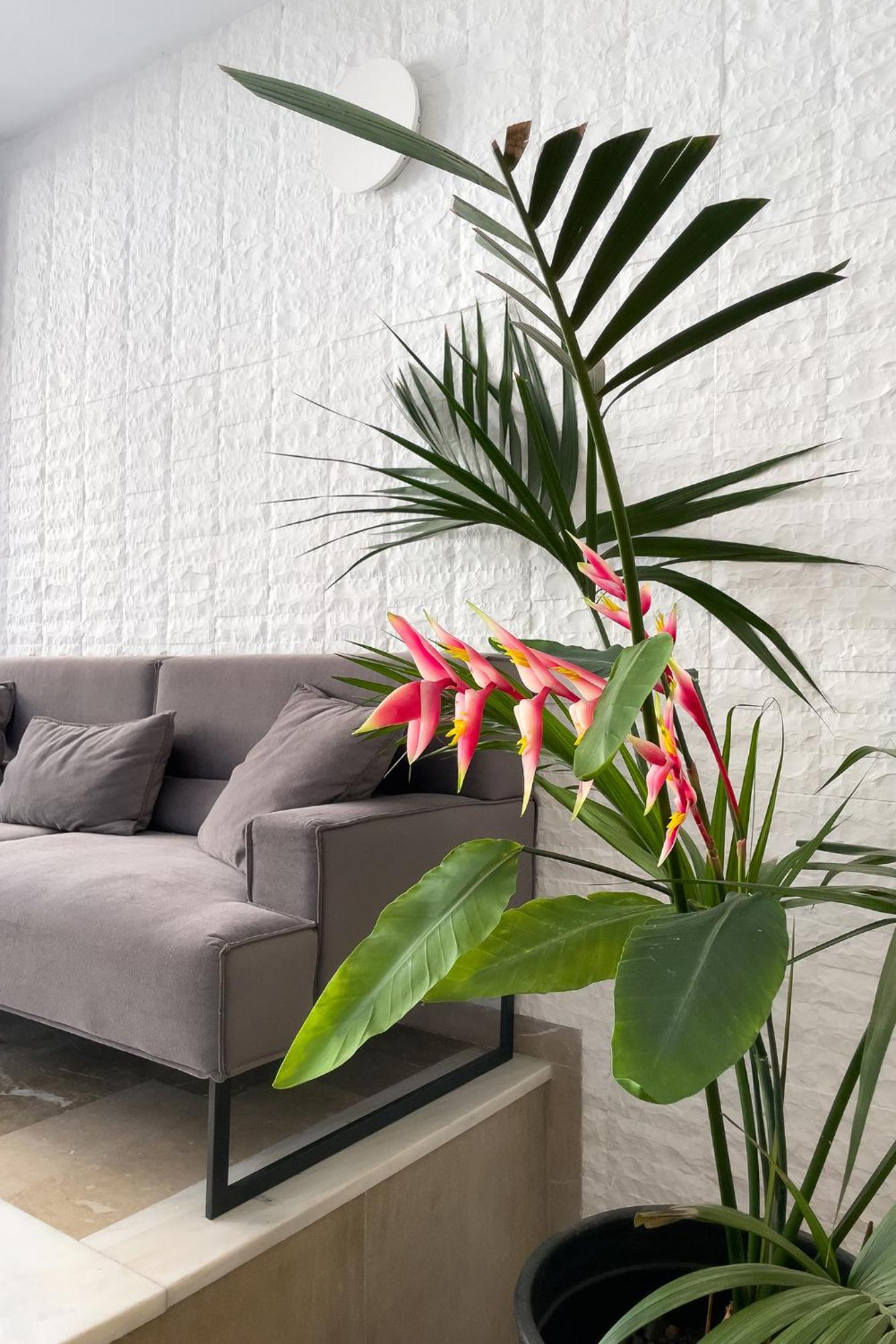 Aonia Luxurious Modern Boutique Apartments Chalkís Zewnętrze zdjęcie